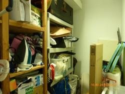 Trilight (D11), Condominium #142540412